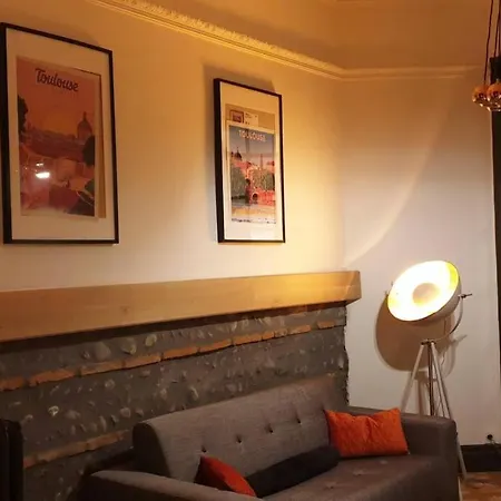 Villa Toulousaine De Standing - Garage - Cour - Cinema Toulouse