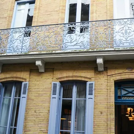 Villa Toulousaine De Standing - Garage - Cour - Cinema *
