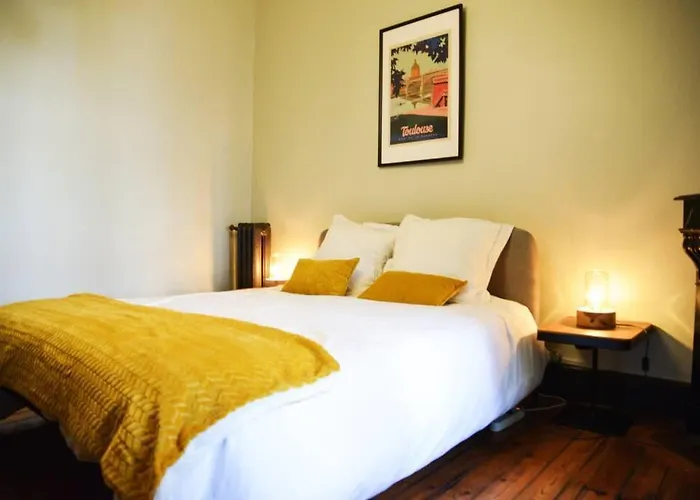 Toulousaine De Standing - Garage - Cour - Cinema