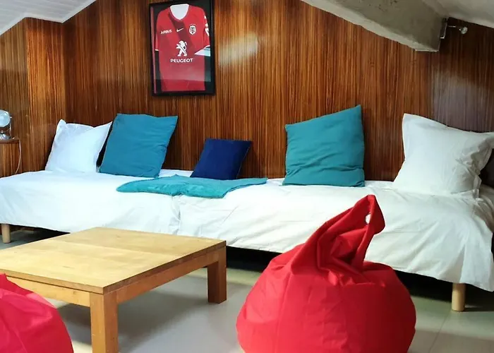 Vila Toulousaine De Standing - Garage - Cour - Cinema Toulouse