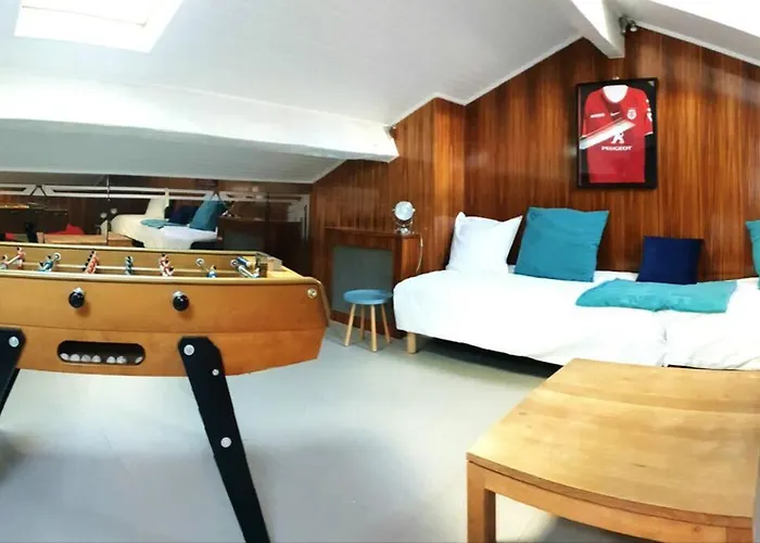 Toulousaine De Standing - Garage - Cour - Cinema *