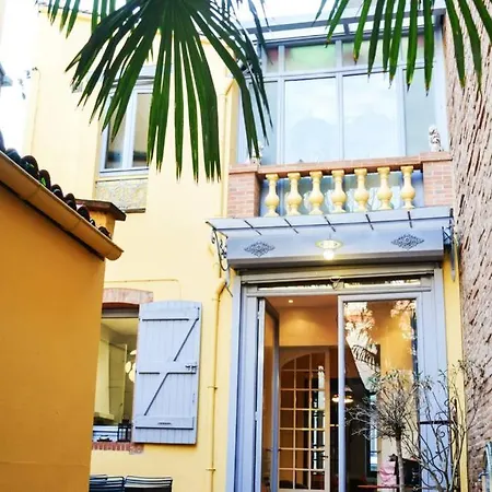 Toulousaine De Standing - Garage - Cour - Cinema *